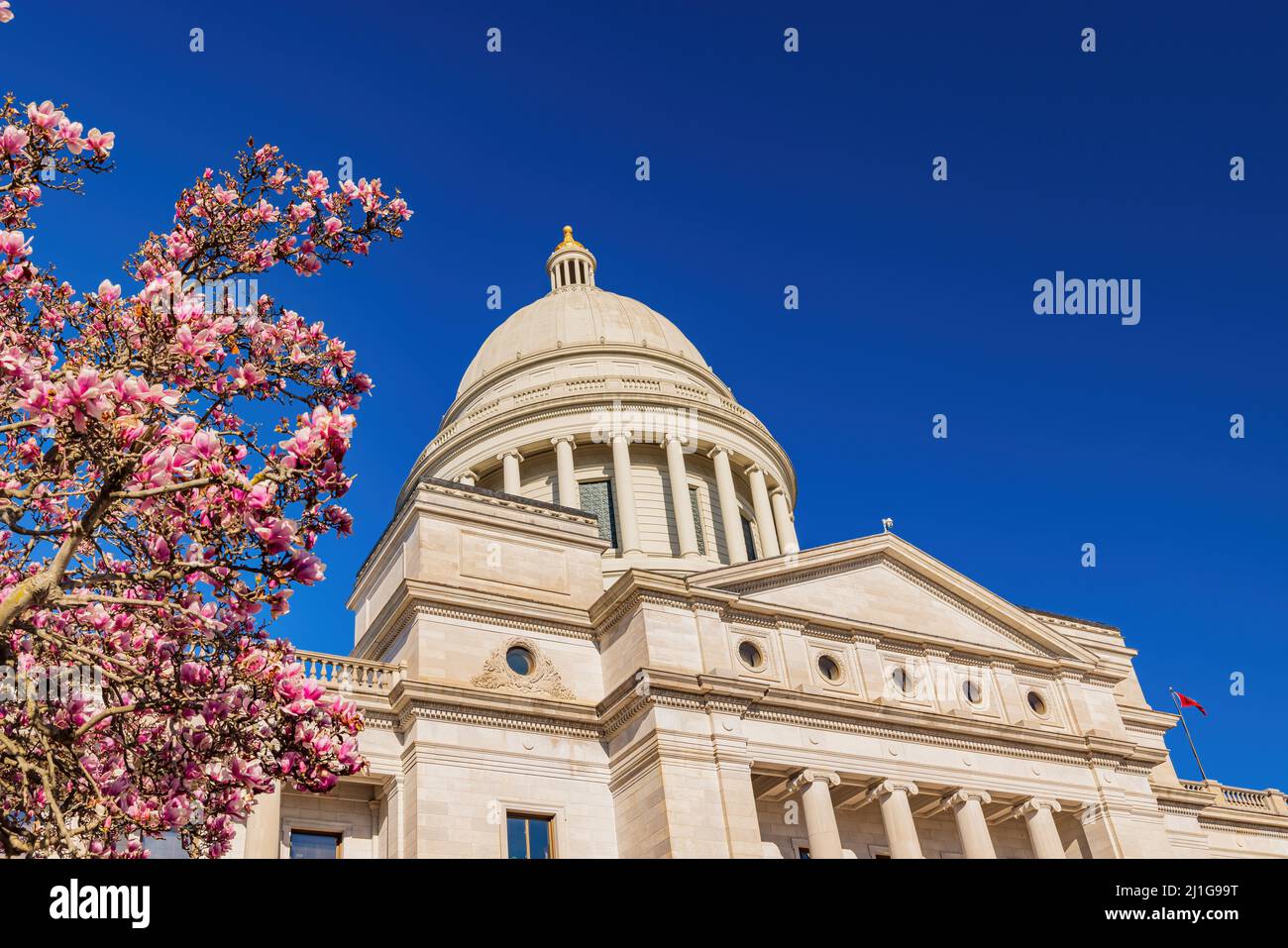 Vista soleggiata dell'edificio del Campidoglio con magnolia in Arkansas Foto Stock