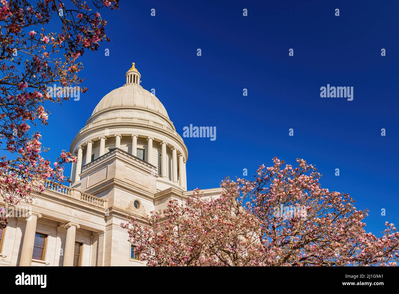Vista soleggiata dell'edificio del Campidoglio con magnolia in Arkansas Foto Stock