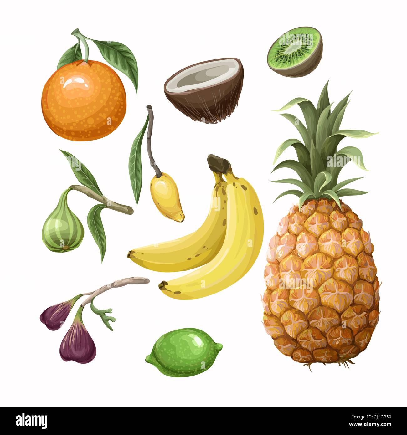 Modello senza giunture con Set di frutti tropicali come ananas, arancia, fico, banana ecc. Vector. Illustrazione Vettoriale