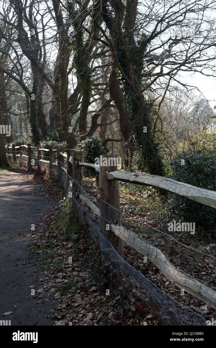 Walkway alberato dal fiume Wiley in Wisley RHS Giardino Surrey Inghilterra Foto Stock