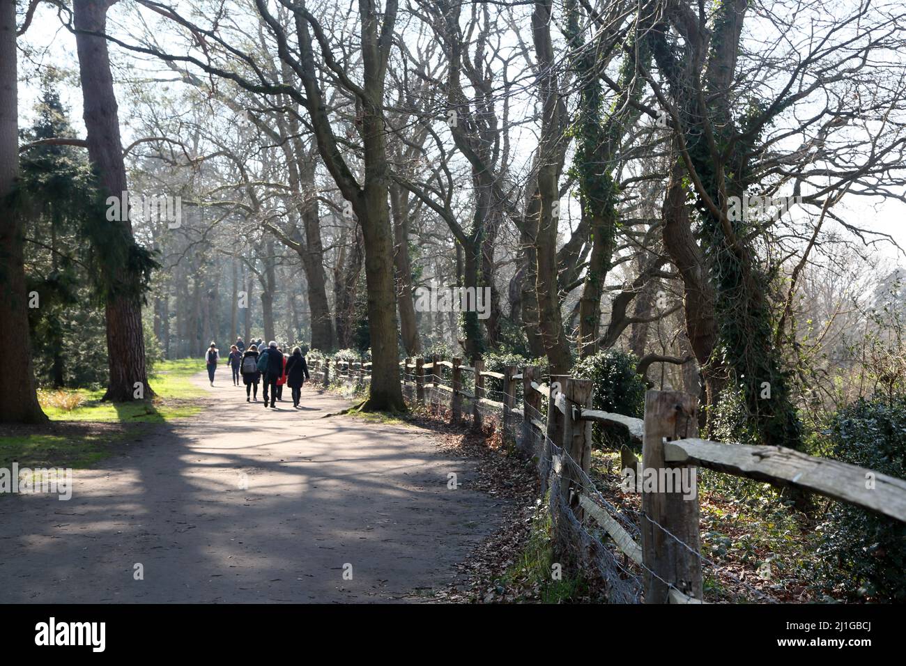Persone che camminano sulla strada alberata Walkway dal fiume Wiley in Wisley RHS Garden Surrey Inghilterra Foto Stock