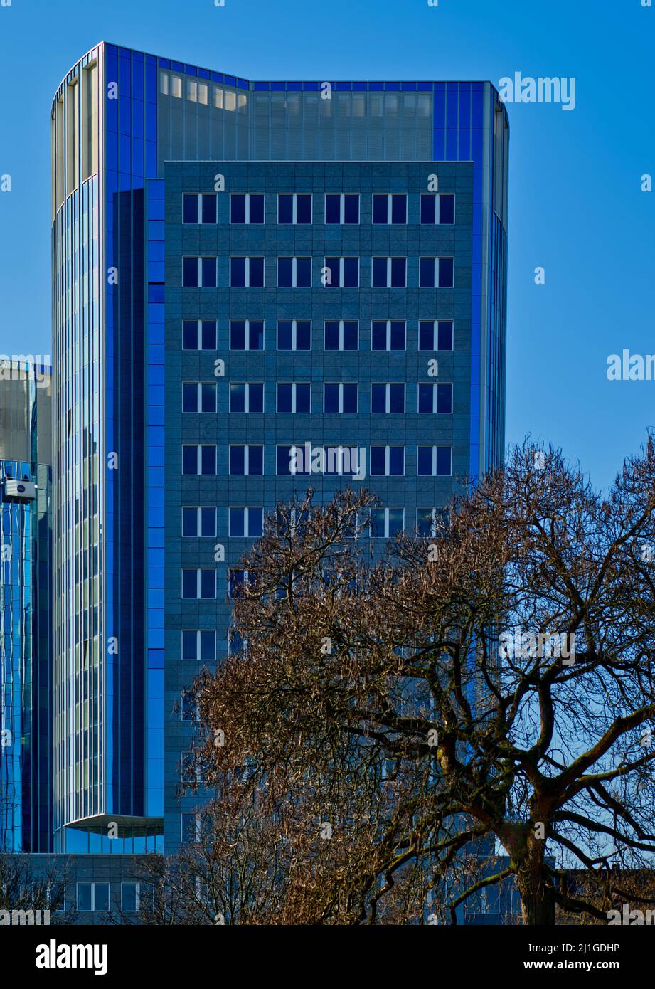 Grattacielo blu 'City tower' in cielo blu chiaro a Offenbach am Main, Assia, Germania, un albero in primo piano Foto Stock