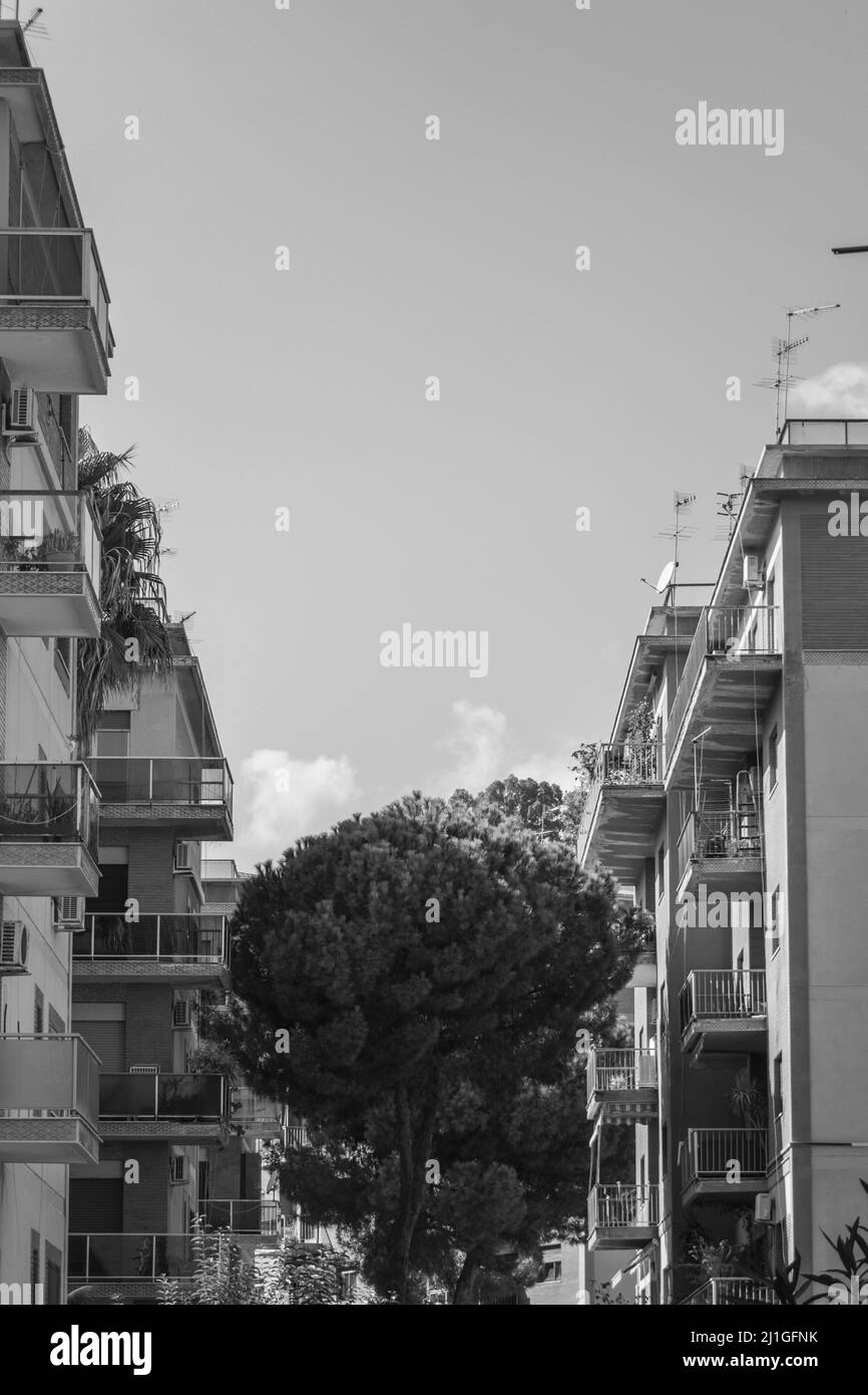 Un'immagine in scala di grigi del cielo limpido sopra gli edifici e un albero con ramoscelli densi Foto Stock