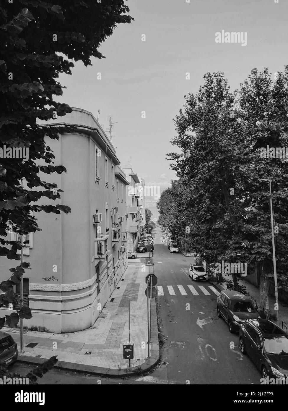Un'immagine in scala di grigi del cielo limpido sopra gli edifici e gli alberi con ramoscelli densi Foto Stock