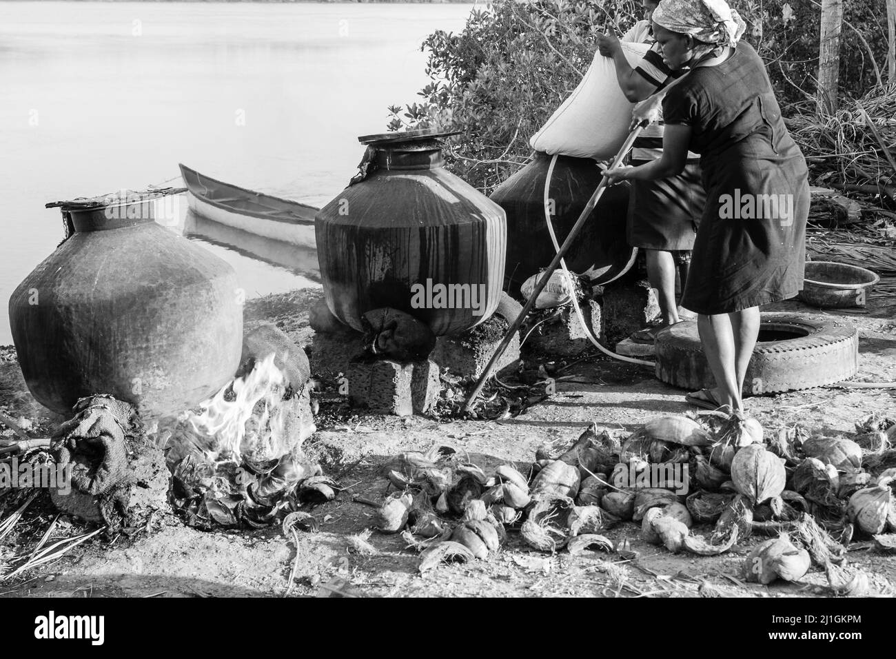 Rachol, Goa India- Jan 2022 agricoltori locali che raccolgono, bollendo, asciugando e sbucciando in fattorie di risaie a Rachol, Goa. Coltivatori asiatici che coltivano la risaia Foto Stock
