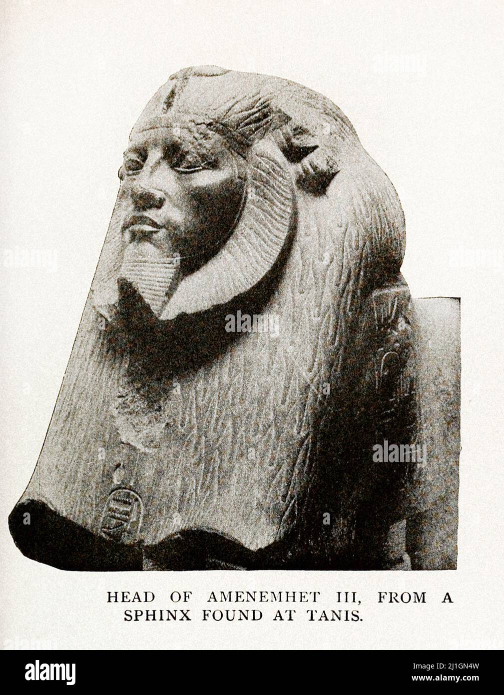 Antico Egitto. Il Medio Regno. XII periodo dinastia (secoli XX-XVIII a.C.). Capo di Amenemhet III, da una Sfinge trovata a Tanis Foto Stock