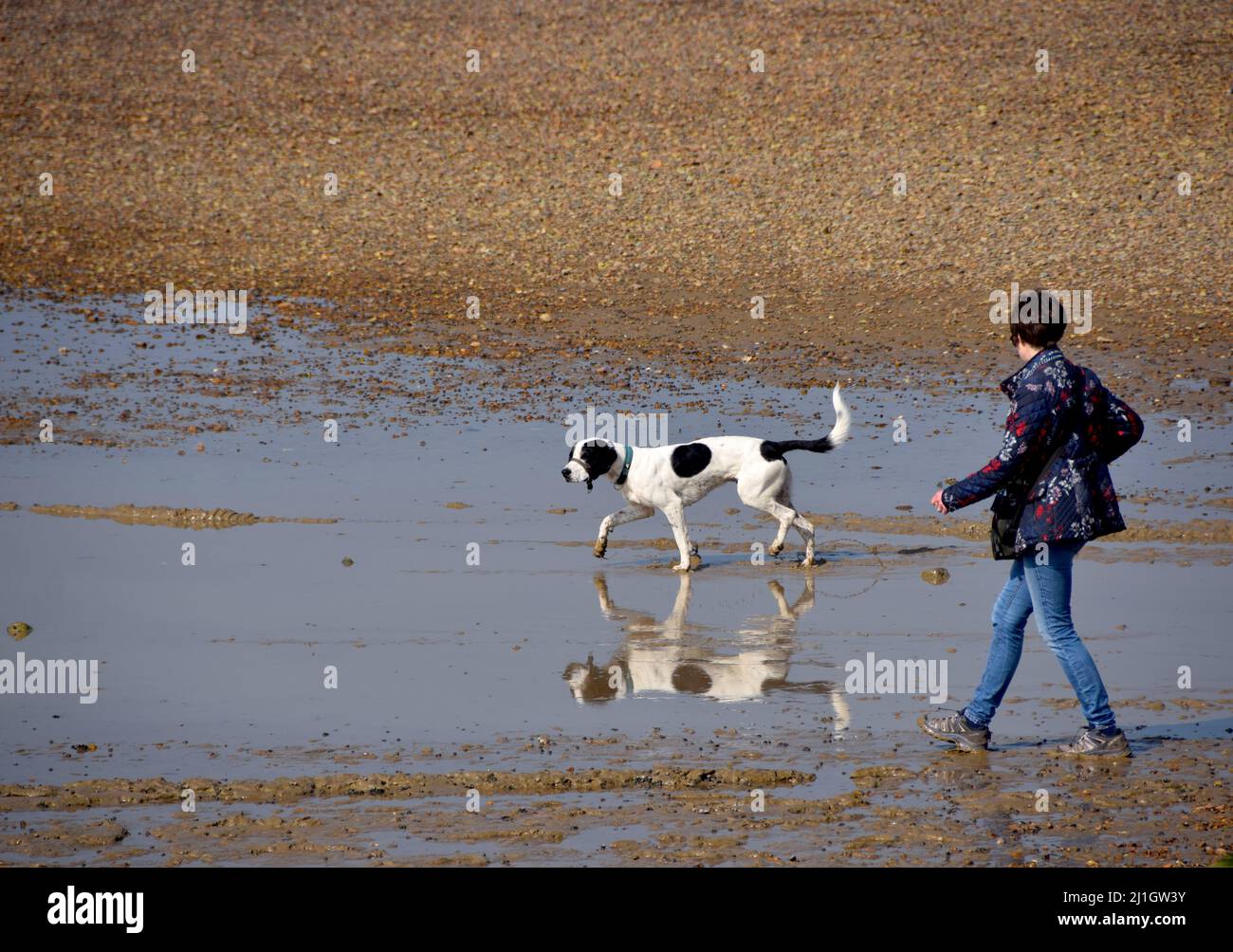 25/03/2022 Whitstable Regno Unito potrebbe quasi essere estate come la gente gode di una bella giornata sulla spiaggia a Whitstable in Kent. Foto Stock