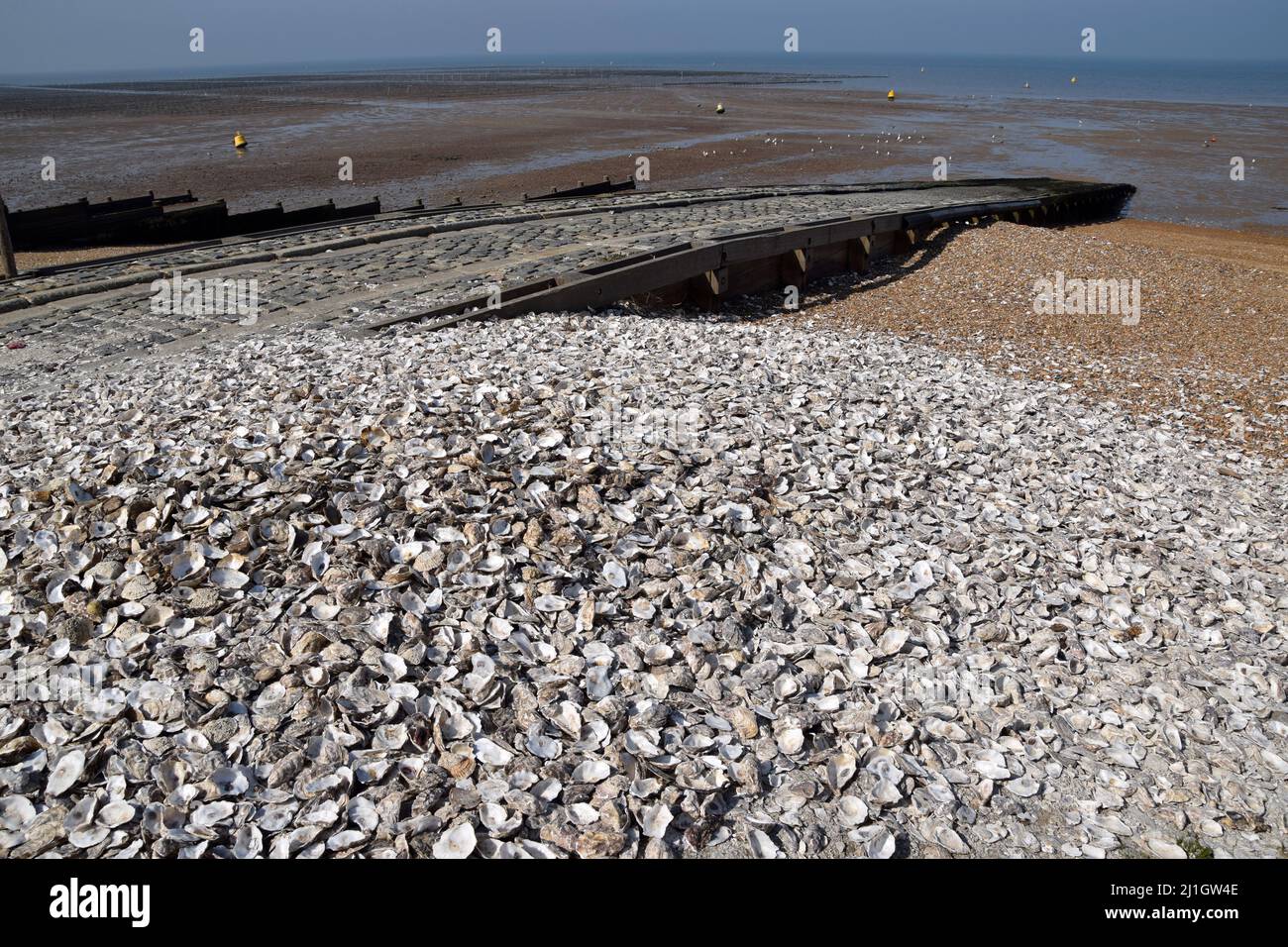 25/03/2022 potrebbe quasi essere estate come la gente gode di una bella giornata a Whitstable in Kent. La città è famosa per i suoi frutti di mare e soprattutto per le ostriche Foto Stock