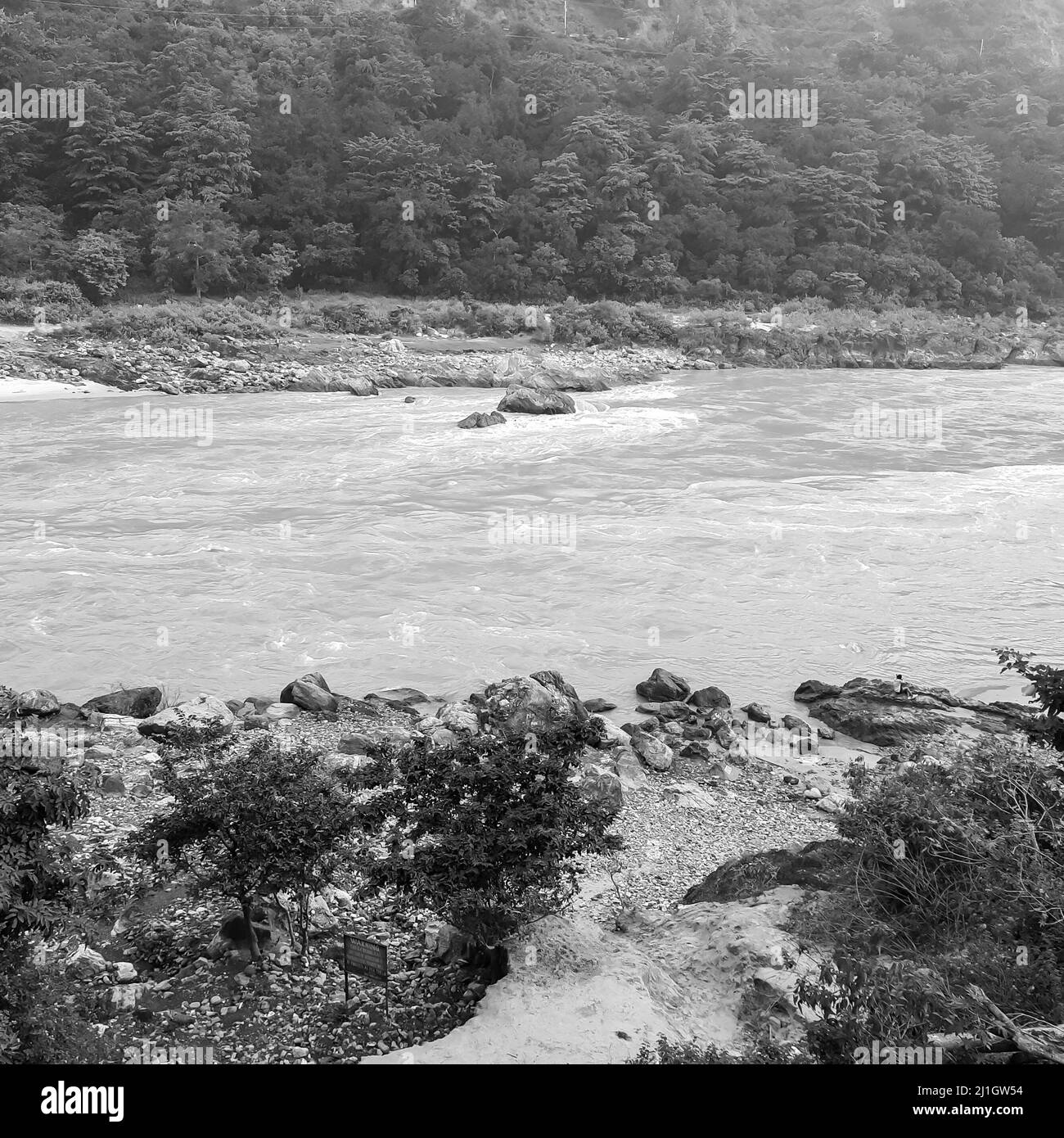 Vista mattutina alla spiaggia GOA situata a Rishikesh Uttarakhand vicino Laxman Jhula, vista pulita del fiume Ganga a Rishikesh durante la prima mattina, mondo Foto Stock