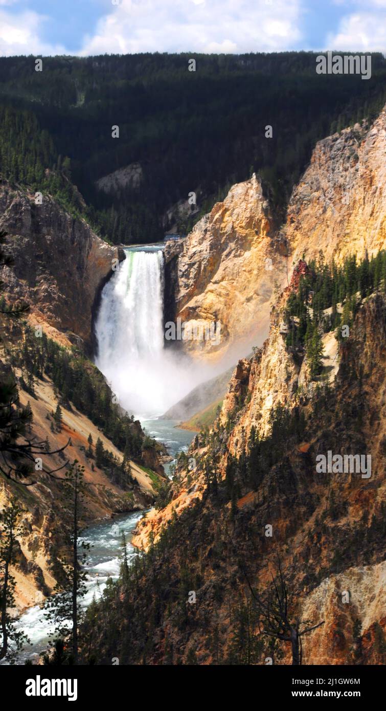 L'immagine del paesaggio mostra le Lower Falls e il fiume Yellowstone nel parco nazionale di Yellowstone. Le ripide pareti del canyon sono tingialle e arancioni. Foto Stock