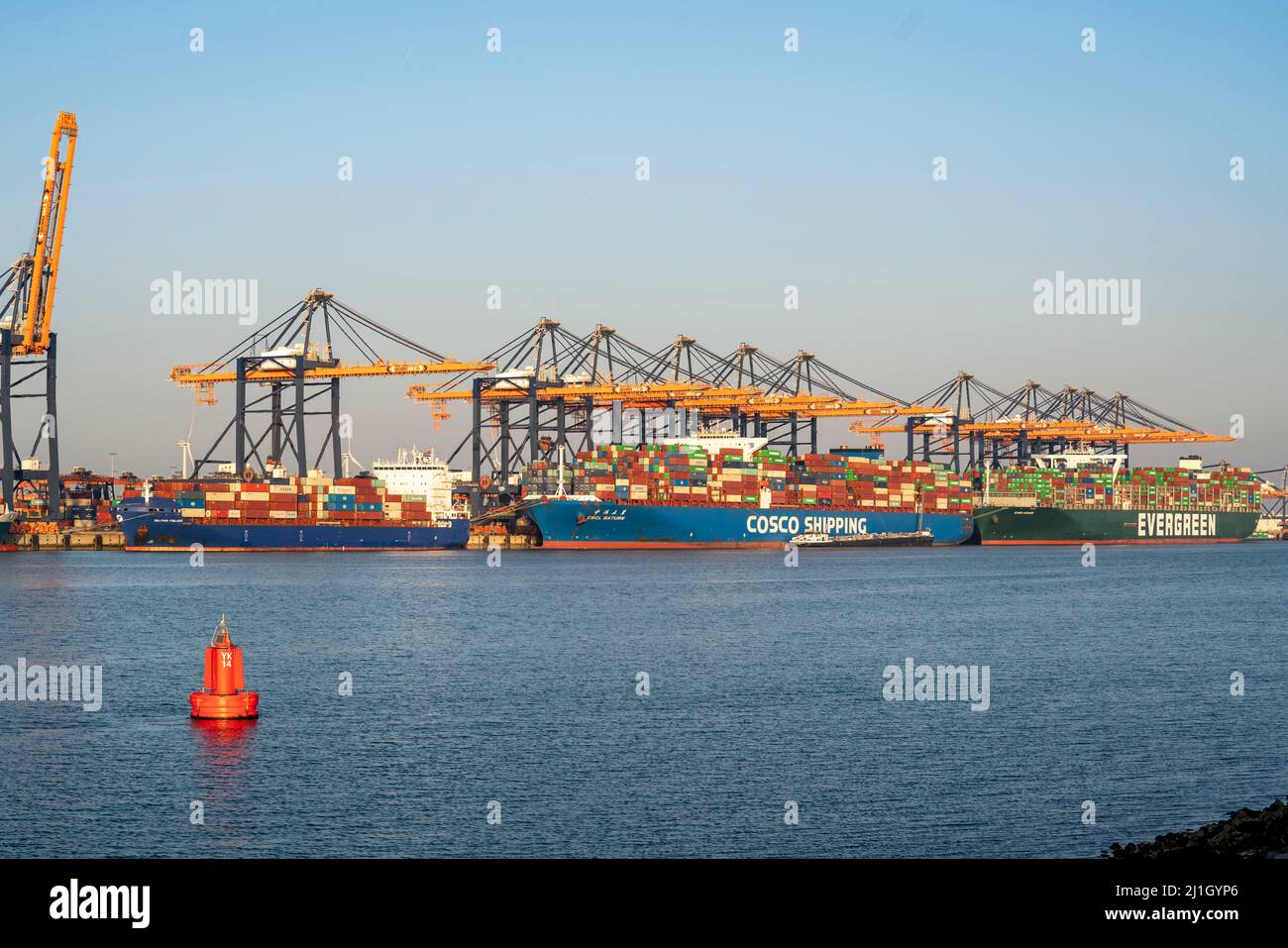 Euromax Container Terminal, container freighters, nel porto marittimo di Rotterdam, Paesi Bassi, porto di mare profondo Maasvlakte 2, su una lan creata artificialmente Foto Stock