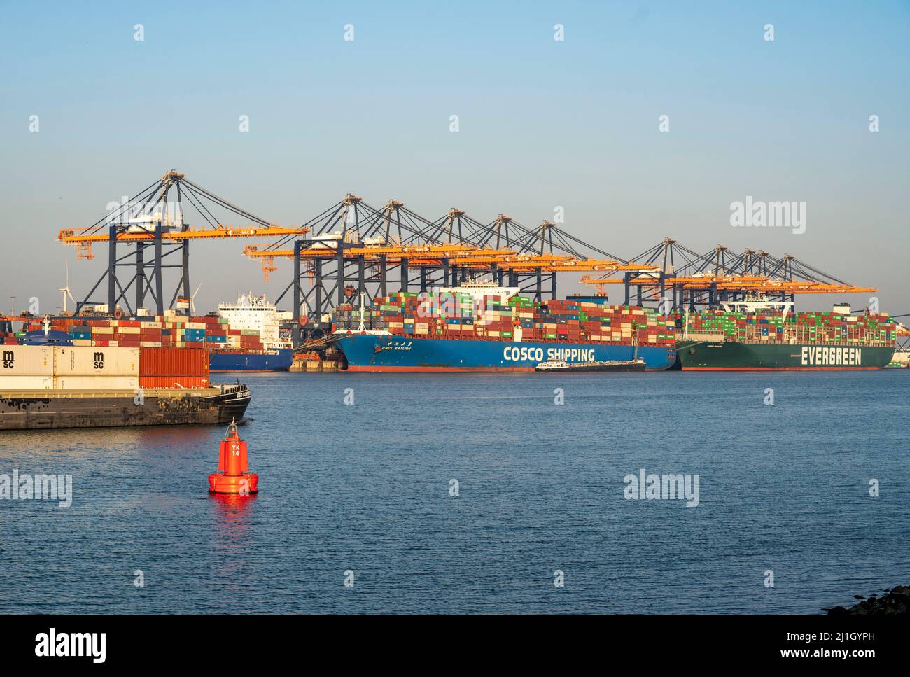 Euromax Container Terminal, container freighters, nel porto marittimo di Rotterdam, Paesi Bassi, porto di mare profondo Maasvlakte 2, su una lan creata artificialmente Foto Stock
