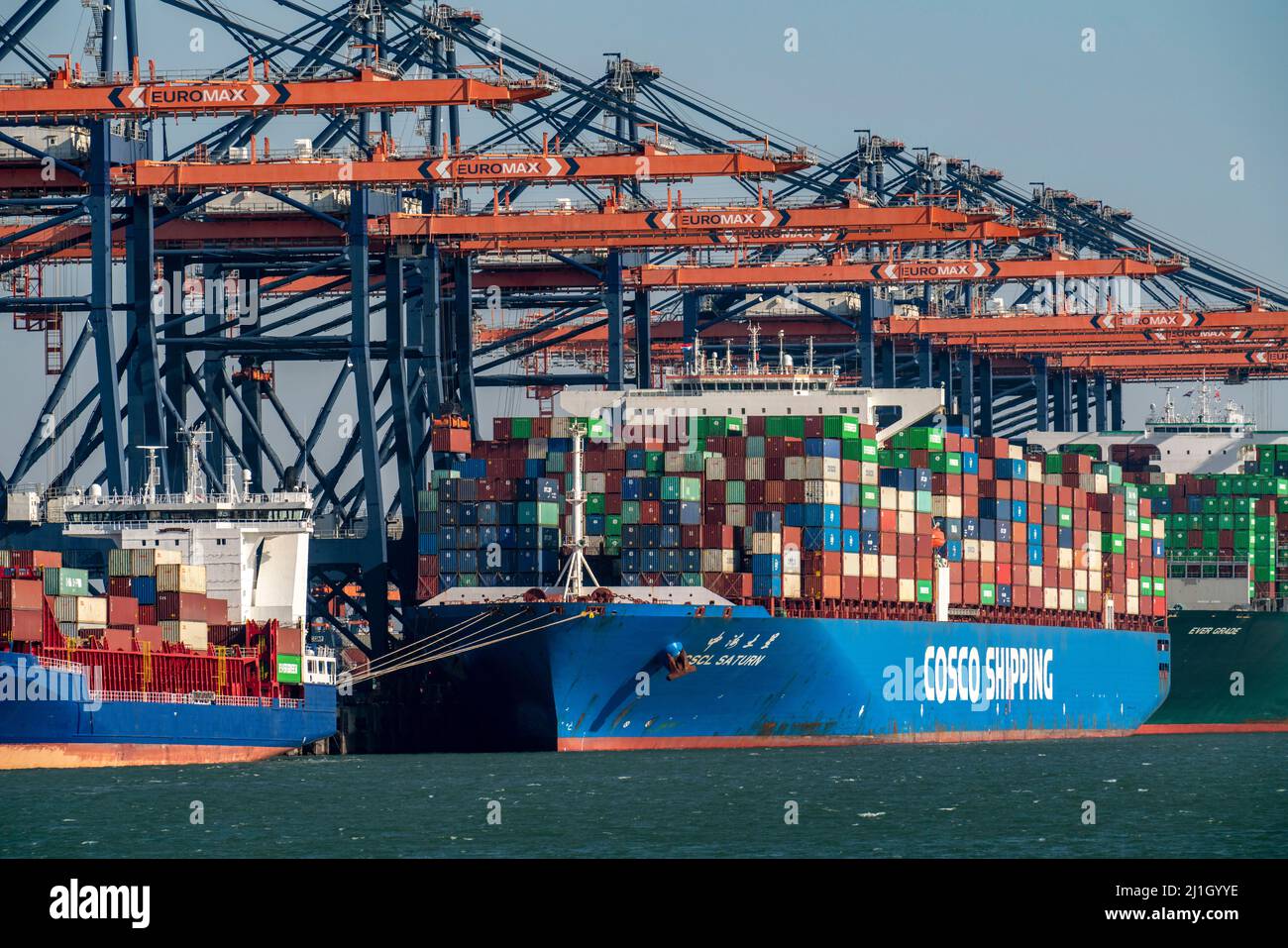Euromax Container Terminal, container freighters, nel porto marittimo di Rotterdam, Paesi Bassi, porto di mare profondo Maasvlakte 2, su una lan creata artificialmente Foto Stock
