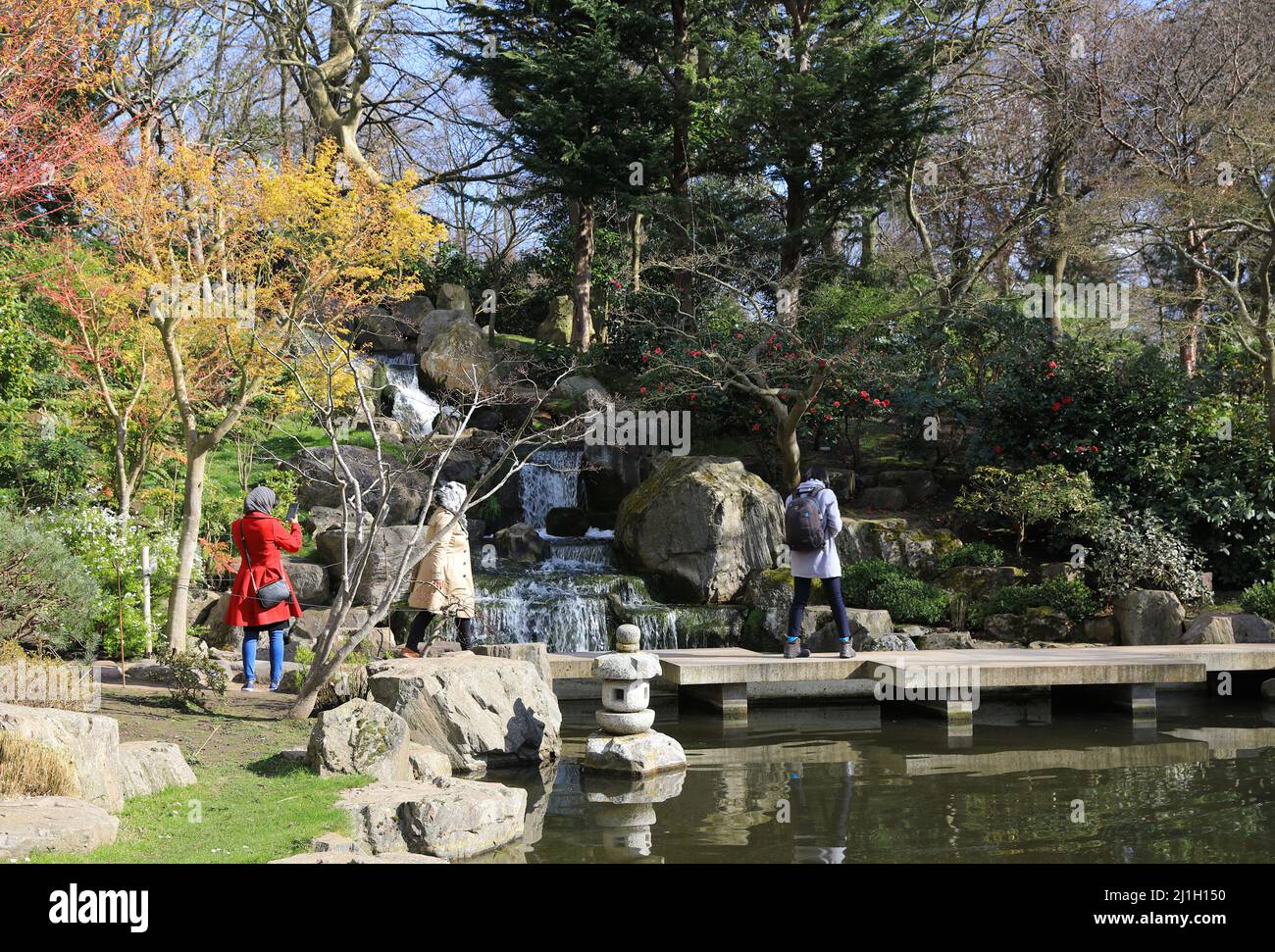 Primavera nei Giardini di Kyoto, aperti nel 1991, come dono del Giappone per celebrare l'amicizia tra Giappone e Gran Bretagna, a Holland Park, West London, Regno Unito Foto Stock