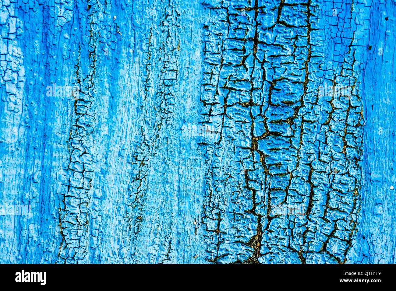 Splendida vista su sfondo di legno vintage con vernice a buccia asciutta. Crossprocessed stile retrò e vintage. Effetto tonificante Instagram. Foto Stock