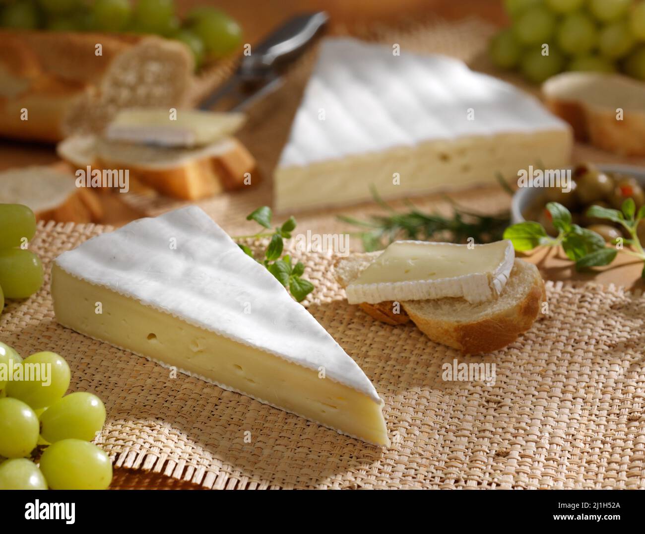 Natura morta, mood shot, con formaggio camembert francese Foto Stock