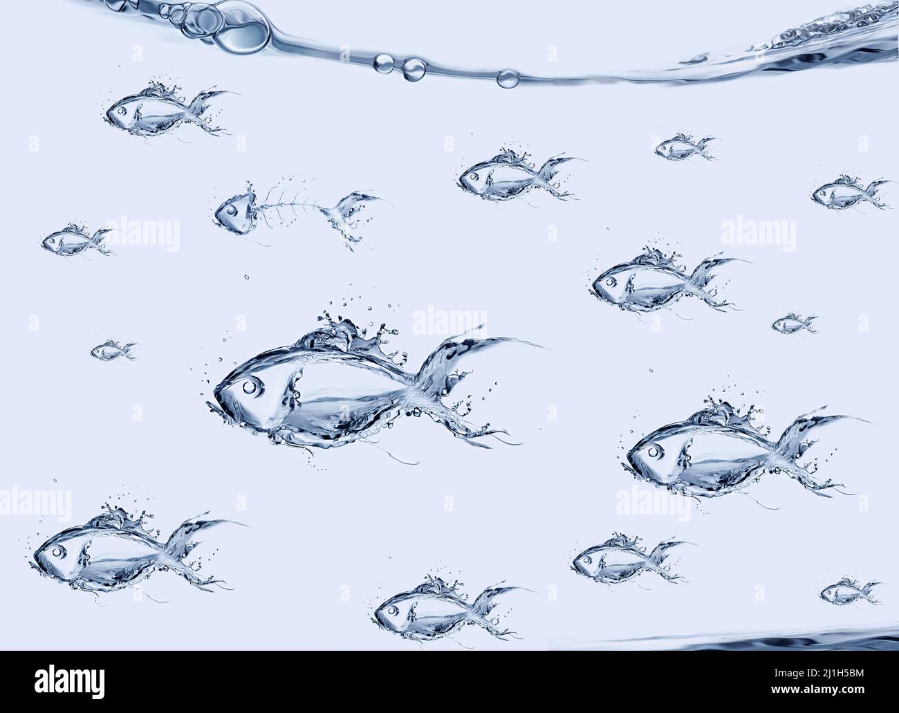 Una scuola di pesce fatta di nuoto in acqua. Foto Stock