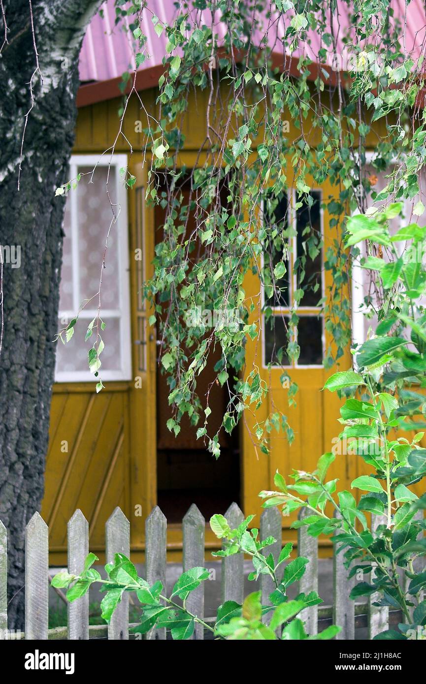 Wytyczno Polesie Polesia, Polesien, Poleski Park Narodowy, Polska, Polen, Polonia, veranda in legno di una casa di campagna all'ombra di un grande albero di betulla Foto Stock