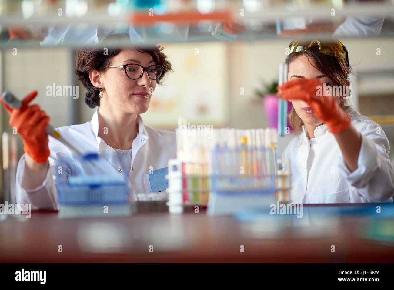 Giovani studenti di chimica femminile che lavorano con pipette e provette in laboratorio in un'atmosfera rilassata. Scienza, chimica, laboratorio, persone Foto Stock
