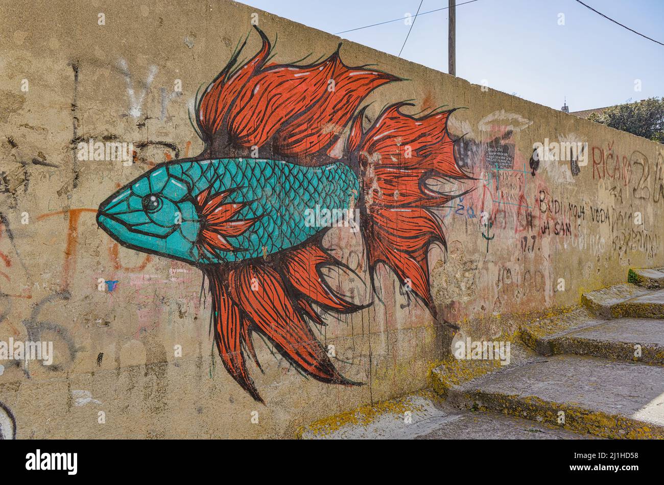 Graffiti di pesce sul muro a sali Dugi Otok Croazia Foto Stock