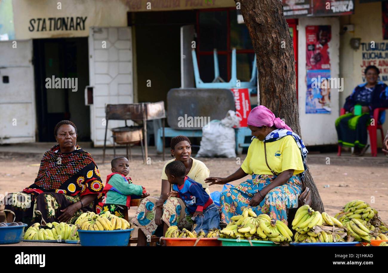 Donne tanzaniane che vendono banane lungo la strada in MTO Wa Mbu, Tanzania. Foto Stock
