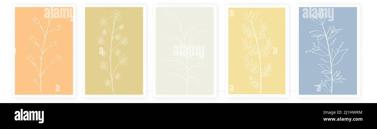 Illustrazione di pianta disegno di parete. Design minimalista a baldacchino. Arte da parete Illustrazione Vettoriale