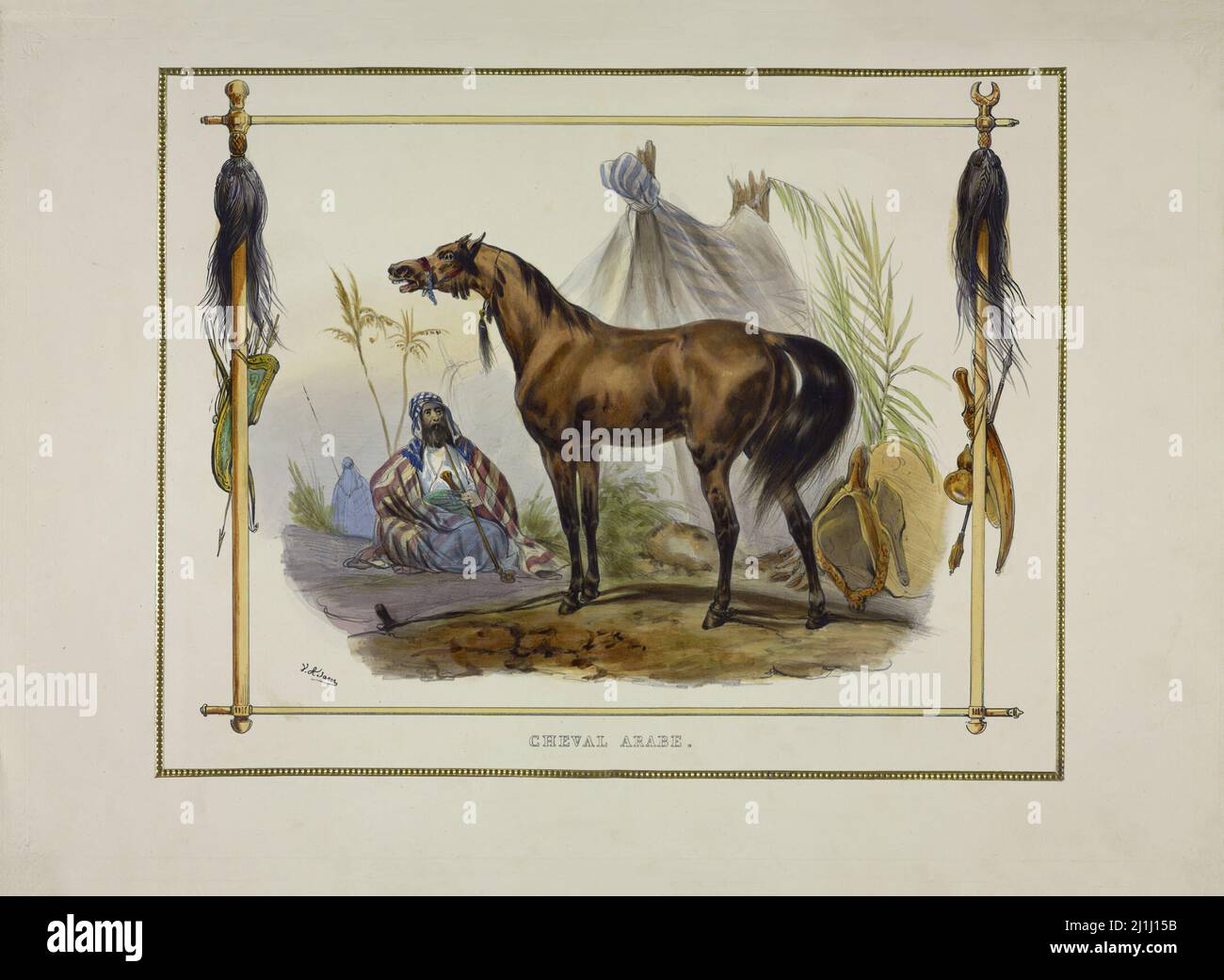 Litografia del Cavallo Arabo. Di Jean Victor Adam (litografo, 1801 – 1866). Francia. 1835 Foto Stock