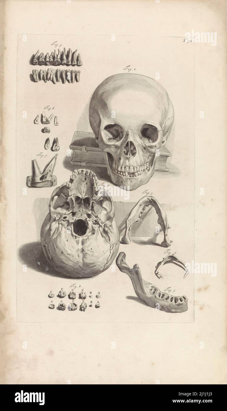 Incisione di uno studio anatomico di un'ombra. Vita morta con un cranio umano. Da Pieter van Gunst, dopo Gerard de Lairesse, 1685 Foto Stock