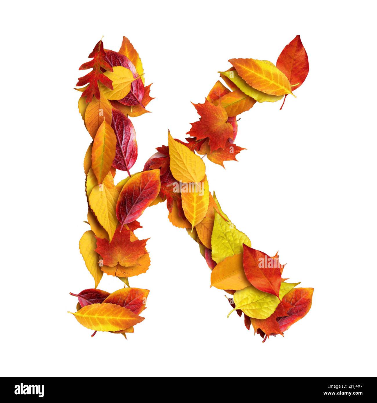 3D alfabeto fatto di foglie, autunno, 3D rendering su sfondo bianco,  lettera maiuscola K Foto stock - Alamy