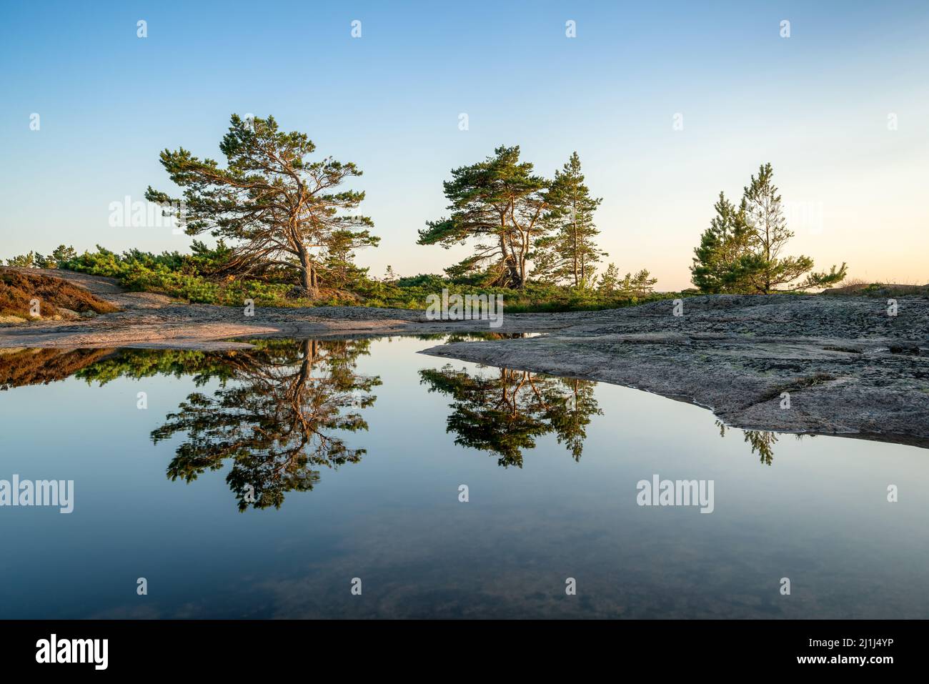 Riflessione in un laghetto dell'isola di Saggö, Ahvenanmaa/Åland, Finlandia Foto Stock