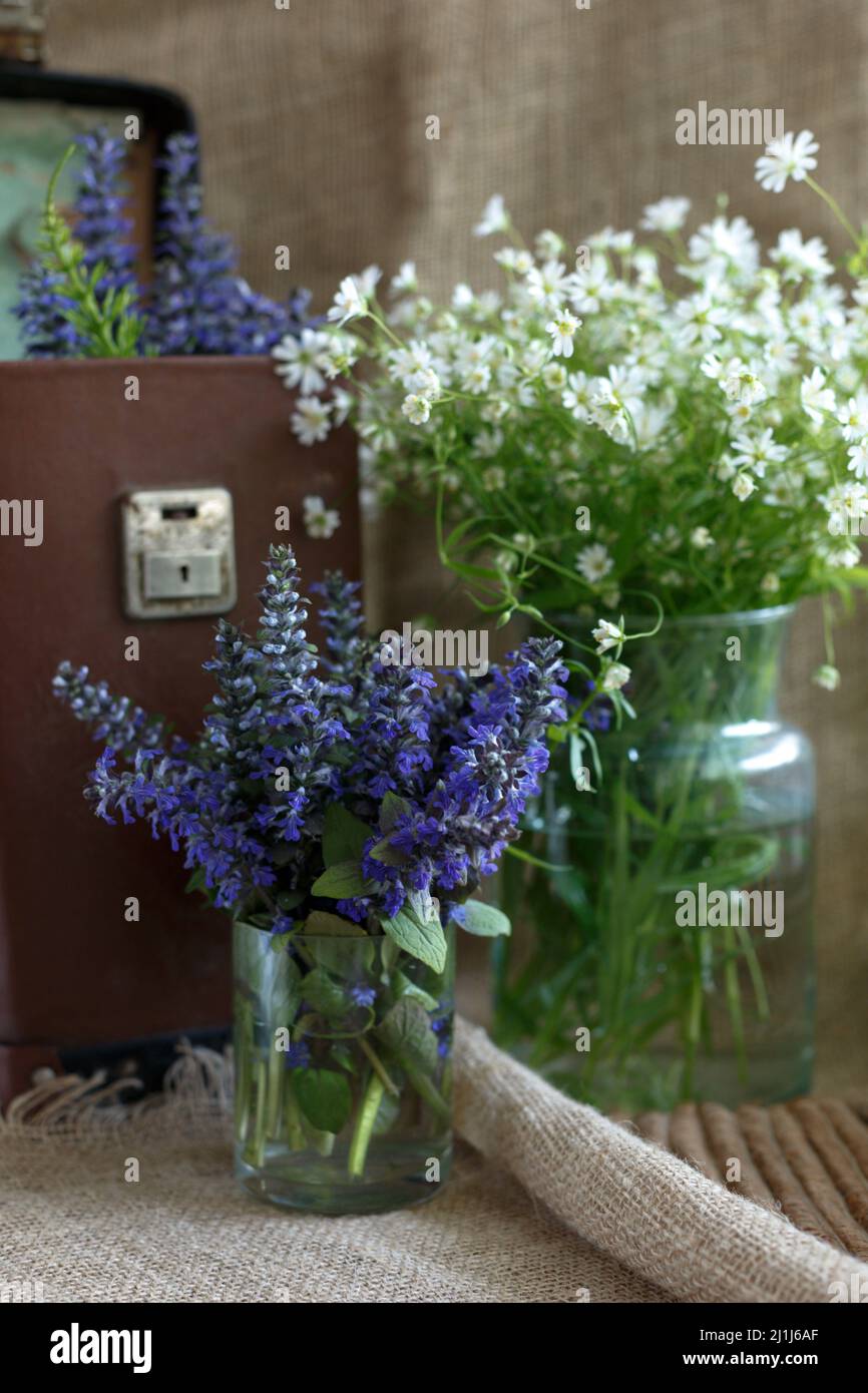 Bouquet di fiori bianchi e blu di bosco in vasi di vetro sullo sfondo di un vecchio tronco armadio in pelle marrone Foto Stock