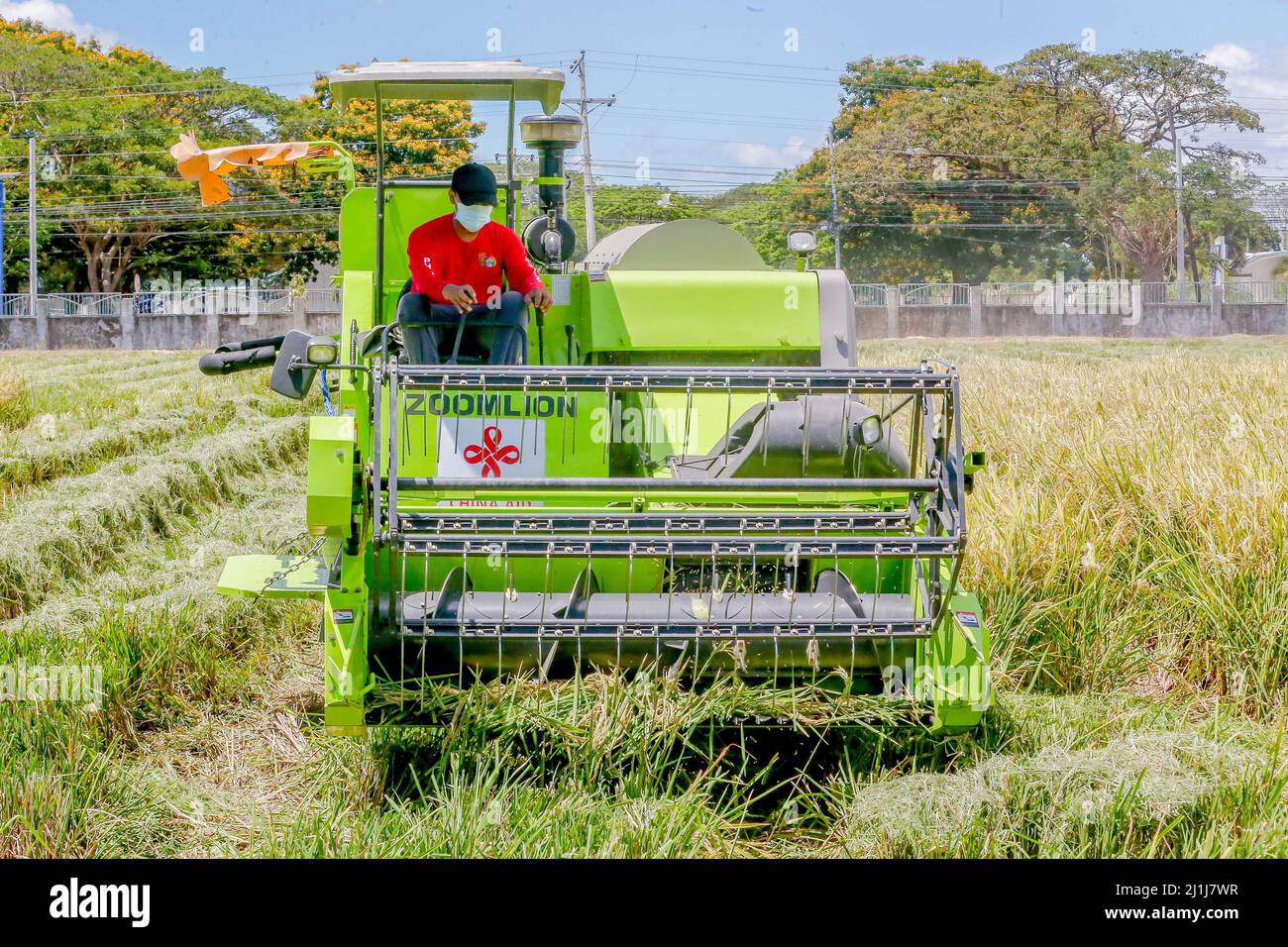 Nueva Ecija, Filippine. 25th Mar 2022. (220326) -- NUEVA ECIJA, 26 marzo 2022 (Xinhua) -- Un agricoltore lavora presso il Philippine-sino Center for Agricultural Technology (PhilSCAT) nella provincia di Nueva Ecija, nelle Filippine, il 25 marzo 2022. Le Filippine stanno raccogliendo i frutti della sua collaborazione agricola con la Cina per aumentare la fornitura di cibo e salvaguardare la sicurezza alimentare nel paese, ha detto il Segretario all'Agricoltura William Dar venerdì. Dar ha fatto le osservazioni in una cerimonia che ha segnato l'inaugurazione di nuovi laboratori di allevamento presso il Centro filippino-sino per la tecnologia agricola (PhilSCAT) in Foto Stock