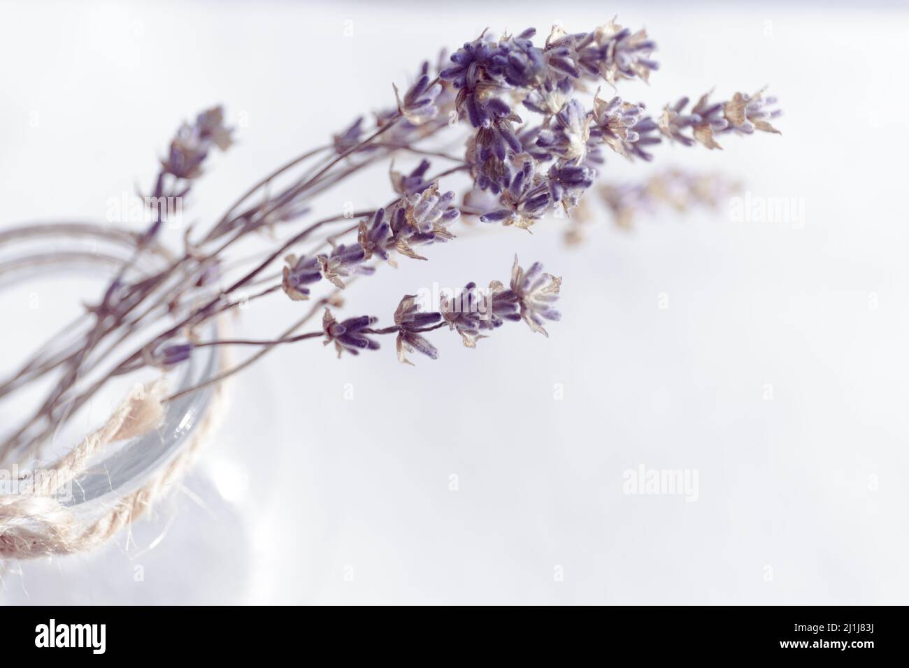 Lavanda viola essiccata in bottiglia di vetro con spago su sfondo bianco. Piccolo bouquet carino di essicato. Vista dall'alto Foto Stock