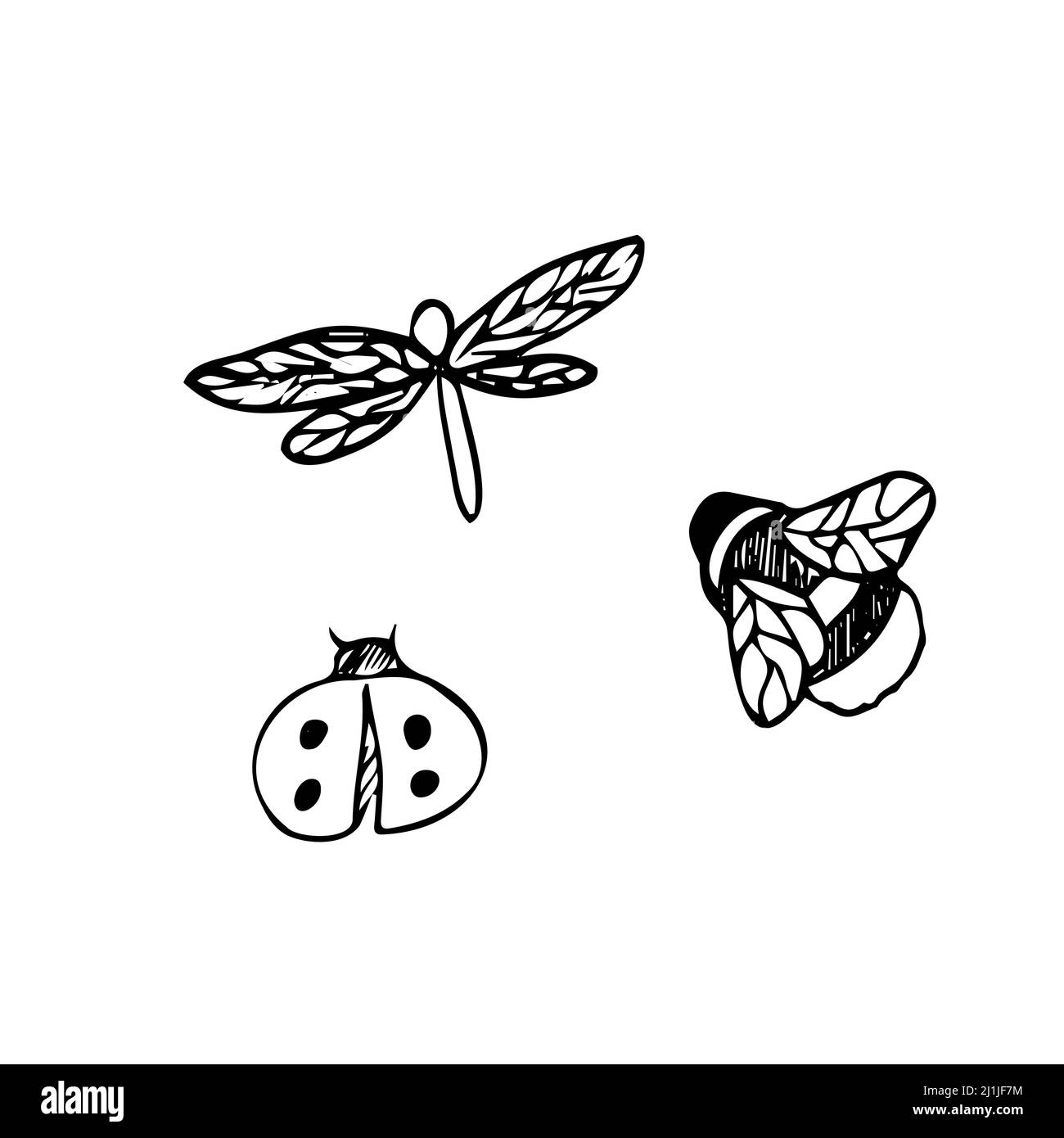 Raccolta di insetto. Dragonfly, Ladybug, Bumblebee Vector disegnato a mano Illustrazione Vettoriale