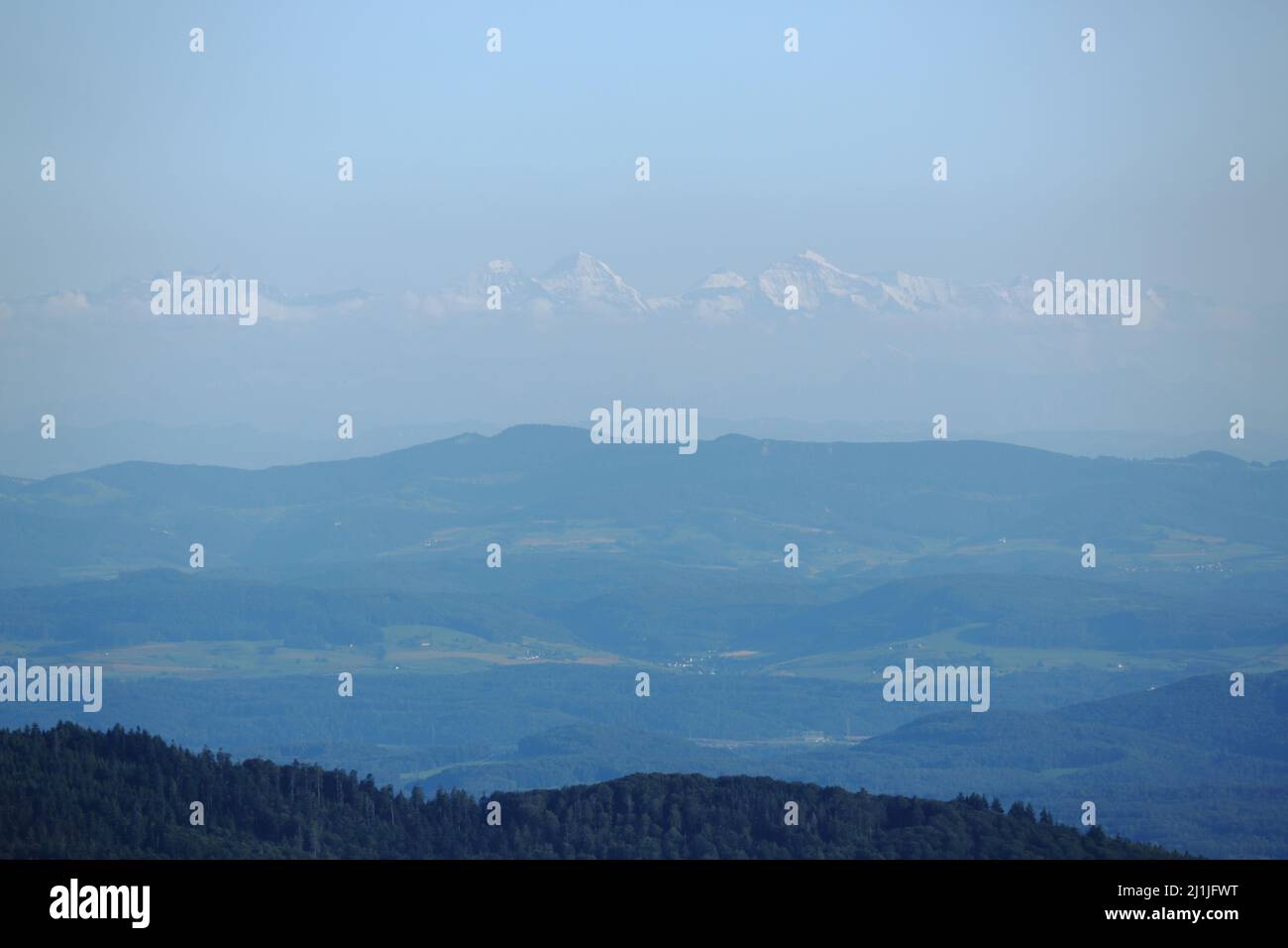 Panorama alpino da Hochblauen 1165m nella Foresta Nera, Baden-Württemberg, Germania Foto Stock