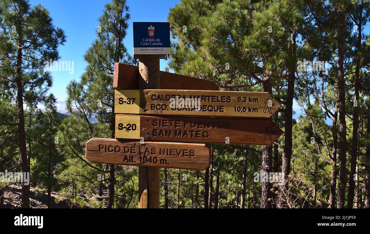 Vista del cartello in legno sulla cima del picco Pico de las Nieves, Gran Canaria, Spagna in giornata di sole con pinete verdi sullo sfondo. Foto Stock