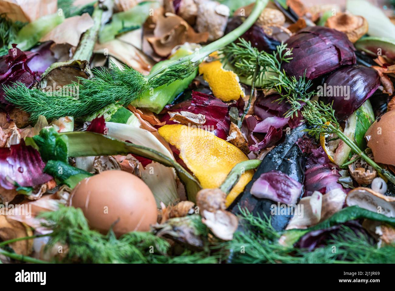 spazzatura decomposta, cumulo di compostaggio di rottami di cucina decomporsi, palo di vista superiore di verdure, frutta, spreco organico come sfondo con focu selettivo Foto Stock