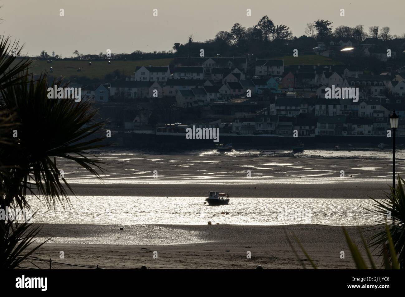 Sole pomeridiano sul fiume Taw nel Devon Foto Stock