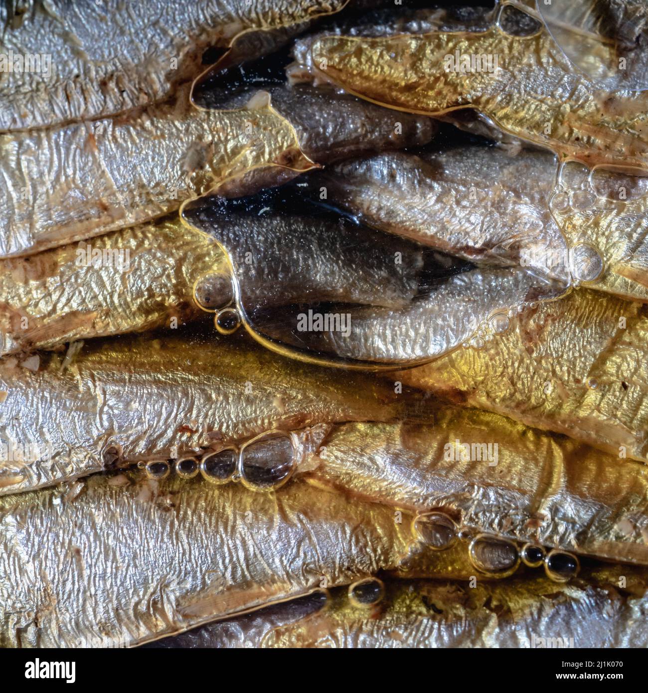 Acciughe in scatola in olio. Foto Stock