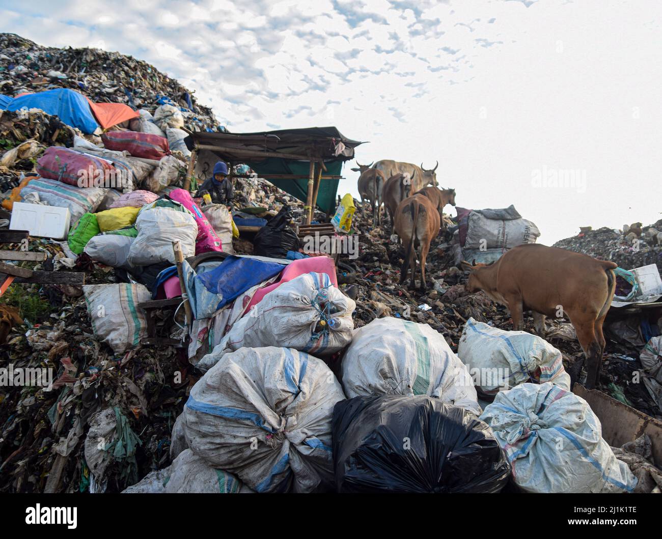 Makassar, Sulawesi meridionale, Indonesia. 25th Mar, 2022. Un certo numero di scavengers che cercano le merci usate all'Antang TPA.now la discarica di Antang è 50 metri alto ed è sopra capacità. Attualmente, la produzione giornaliera di rifiuti a Makassar è di circa 1000 tonnellate. Il Ministero dell'ambiente e delle foreste (KLHK) ha dichiarato che il totale dei rifiuti nazionali nel 2021 raggiungerà 68,5 milioni di tonnellate. Fino al 17% o 11,6 milioni di euro di rifiuti di plastica (Credit Image: © Moch Farabi Wardana/Pacific Press via ZUMA Press Wire) Foto Stock