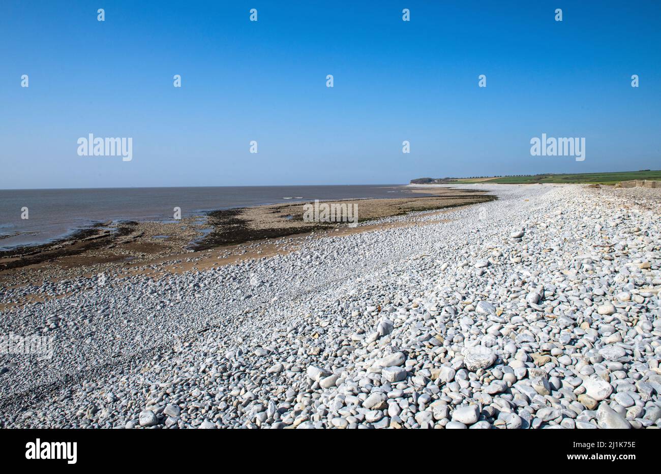 Una vista lungo la spiaggia di Aberthaw (conosciuta anche come Limpert Bay) guardando verso ovest in una giornata luminosa e soleggiata a marzo Foto Stock