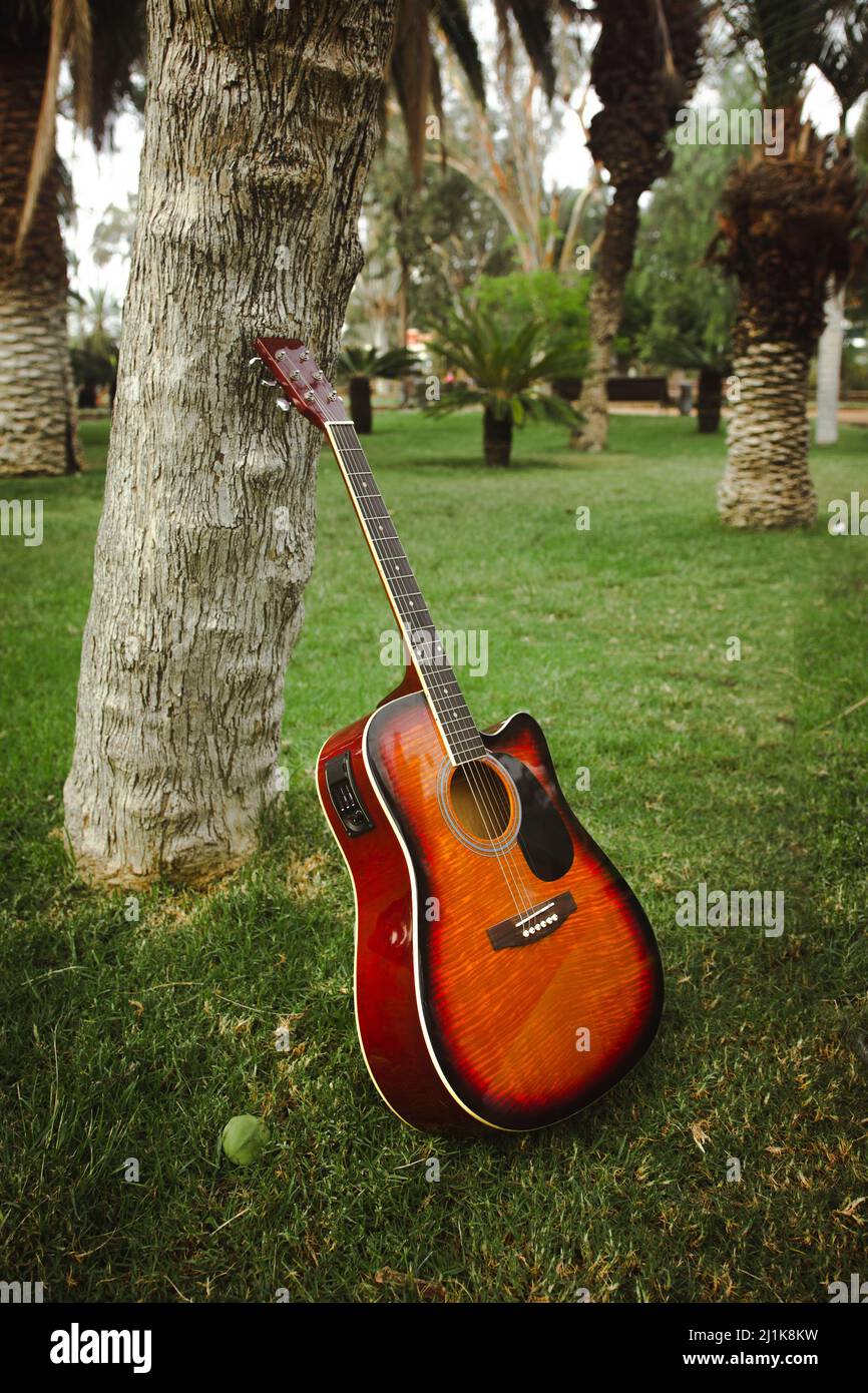 Chitarra in un parco, sopra l'erba Foto Stock