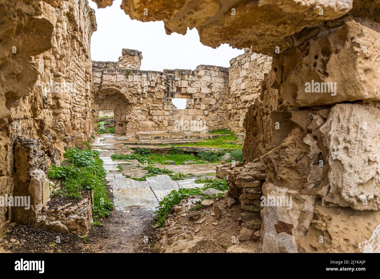 Rovine di Salamis a Yeni Boğaziçi, Repubblica Turca di Cipro del Nord (TRNC) Foto Stock
