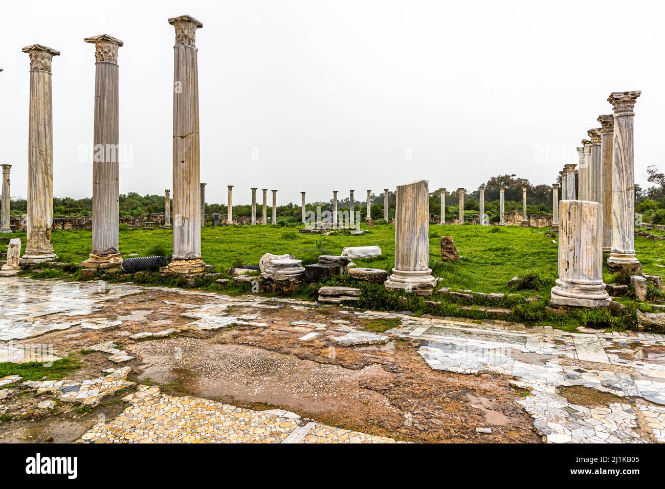 Rovine di Salamis a Yeni Boğaziçi, Repubblica Turca di Cipro del Nord (TRNC) Foto Stock