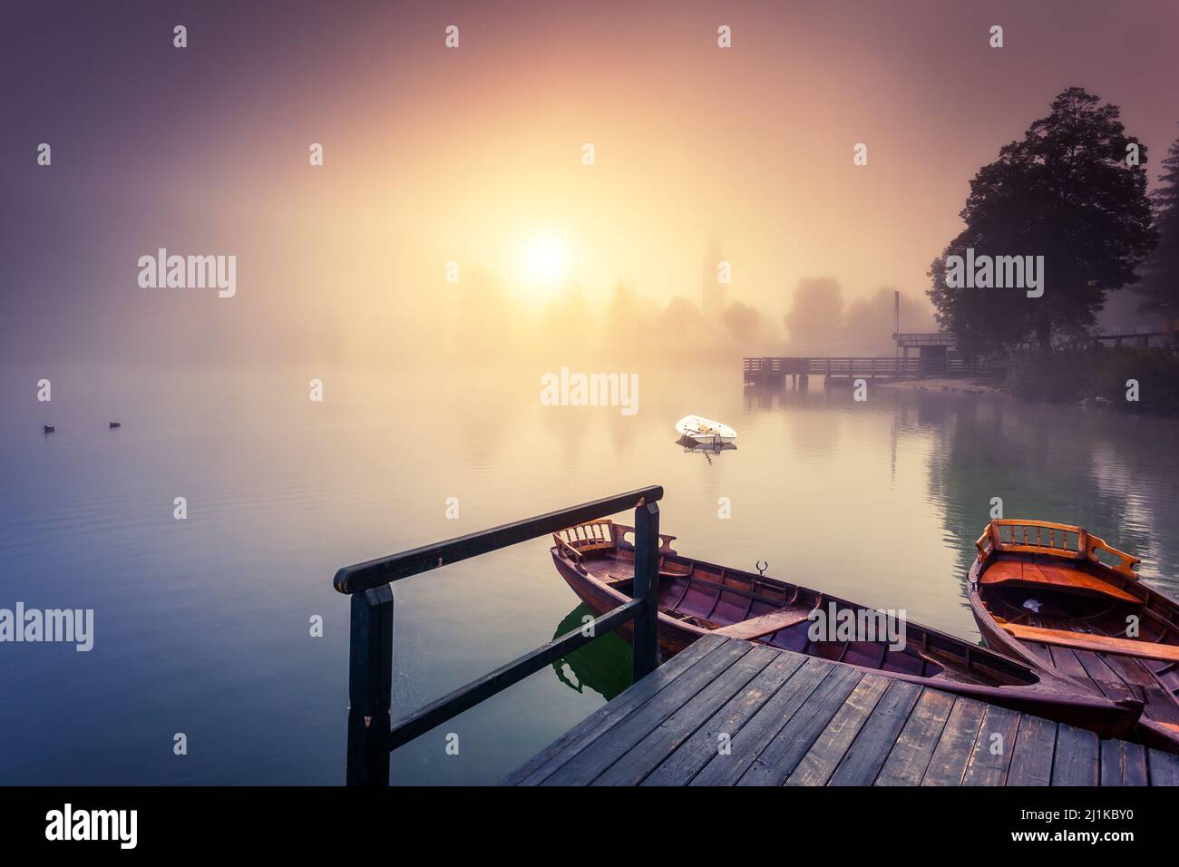 Maestoso paesaggio colorato sul lago di nebbia nel parco nazionale del Triglav, situato nella valle di Bohinj delle Alpi Giulie. Vista spettacolare. Effetto Instagram Foto Stock