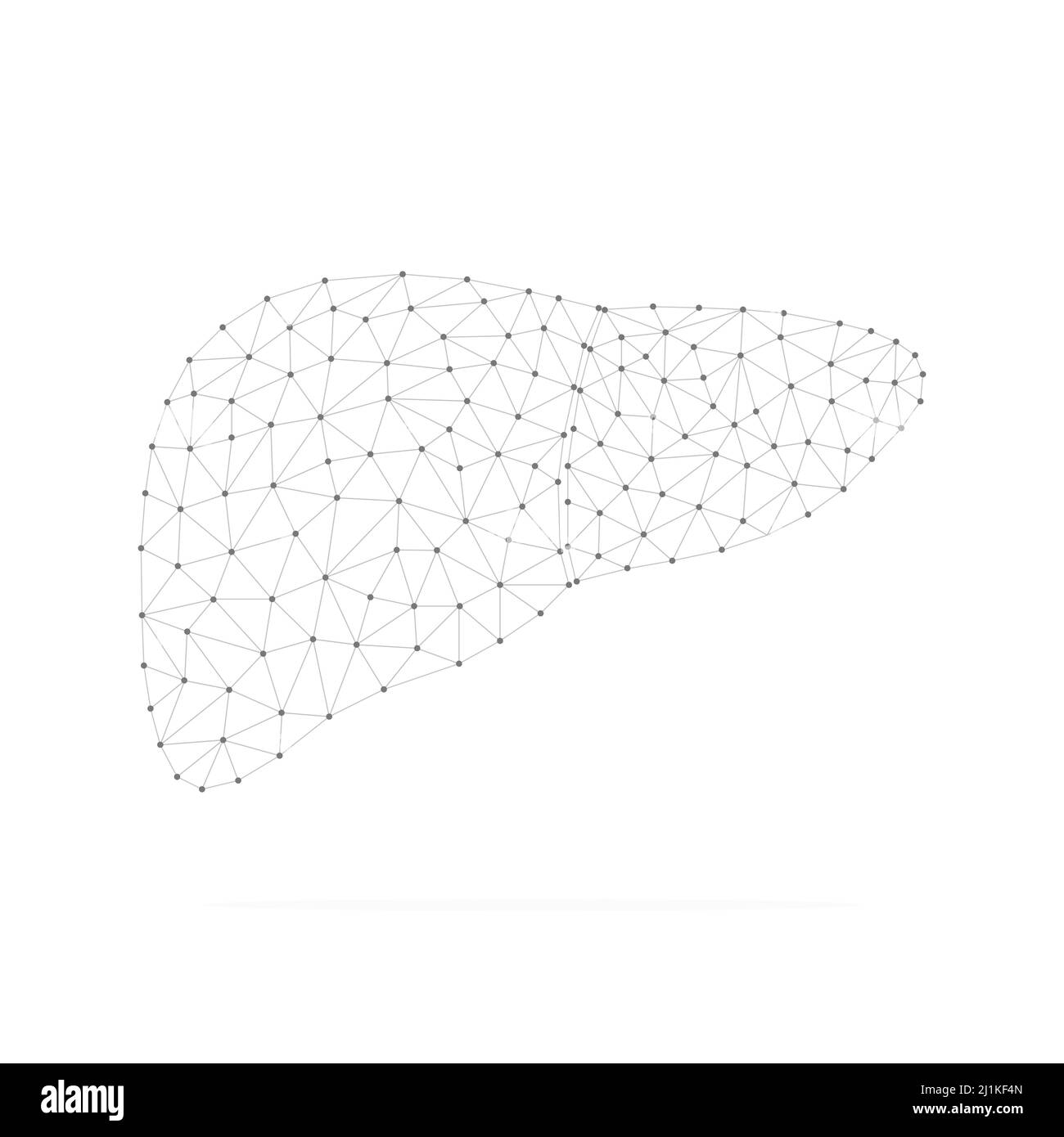 Fegato umano con puntini collegati a basso contenuto di polyblack. Organo interno con forme lineari triangolari. Illustrazione Vettoriale