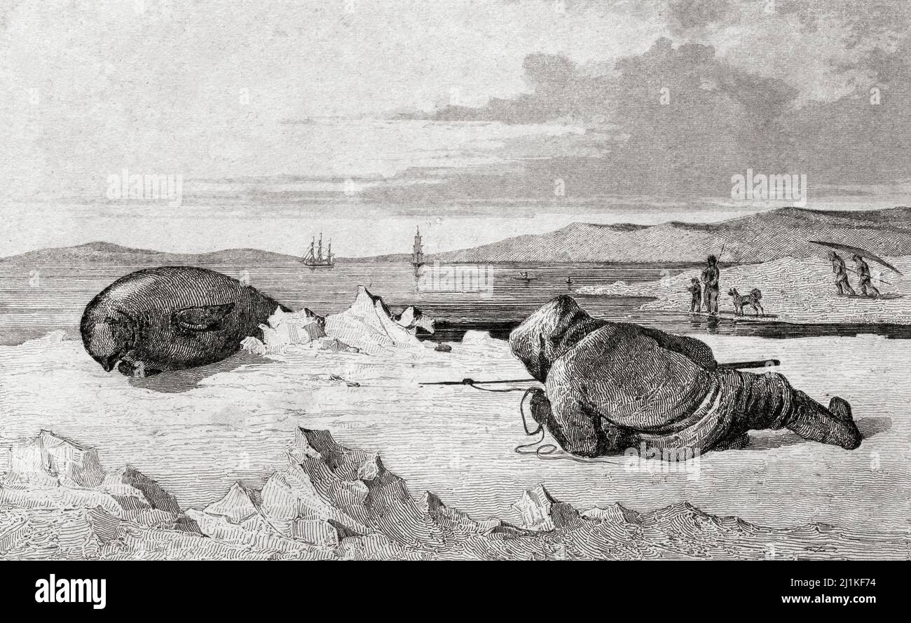 Greenlandic caccia un sigillo. Incisione in acciaio del 19th secolo di Vernier e Lemaitre direcute. Foto Stock