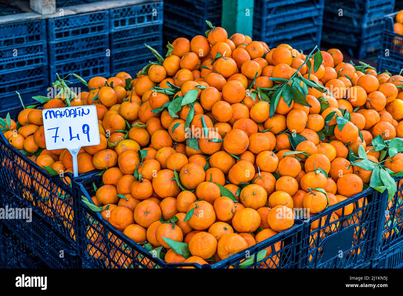 Cipro è un paradiso per gli agrumi. Repubblica turca di Cipro del Nord (TRNC) Foto Stock