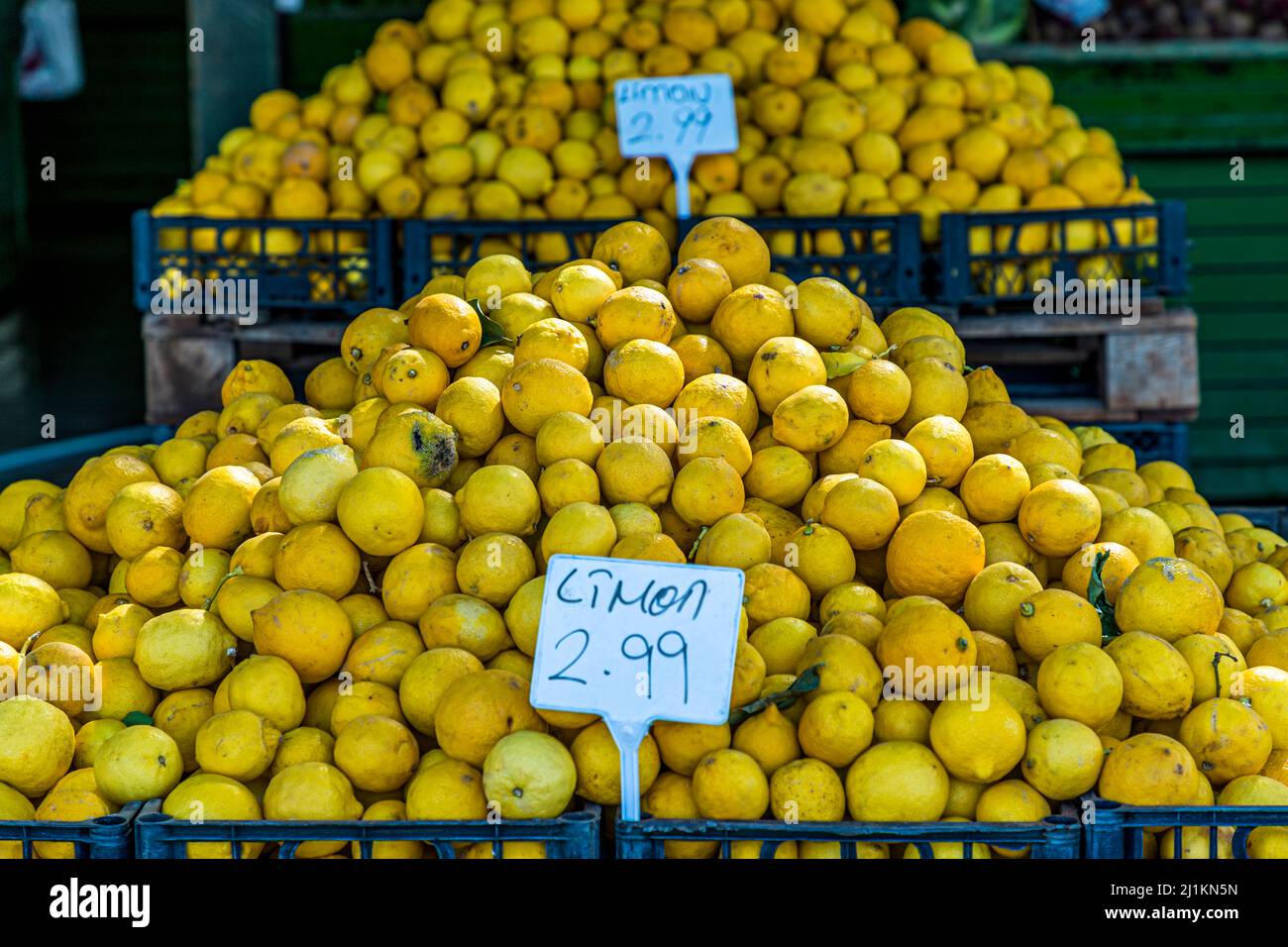Cipro è un paradiso per gli agrumi. Repubblica turca di Cipro del Nord (TRNC) Foto Stock