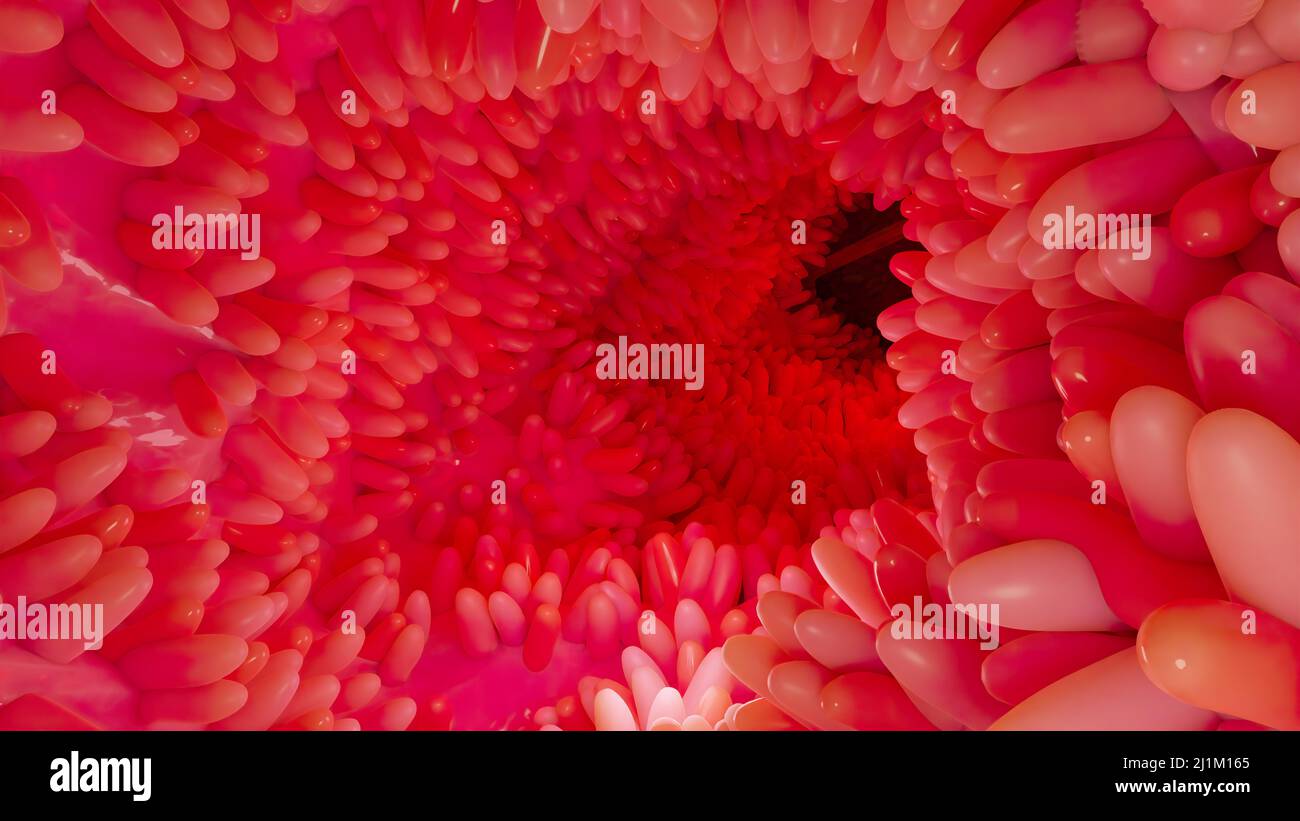 Superficie dei microvilli dell'apparato digerente, villi intestinali con batteri e virus. Villi microscopici, capillari per digestione e assorbimento Foto Stock